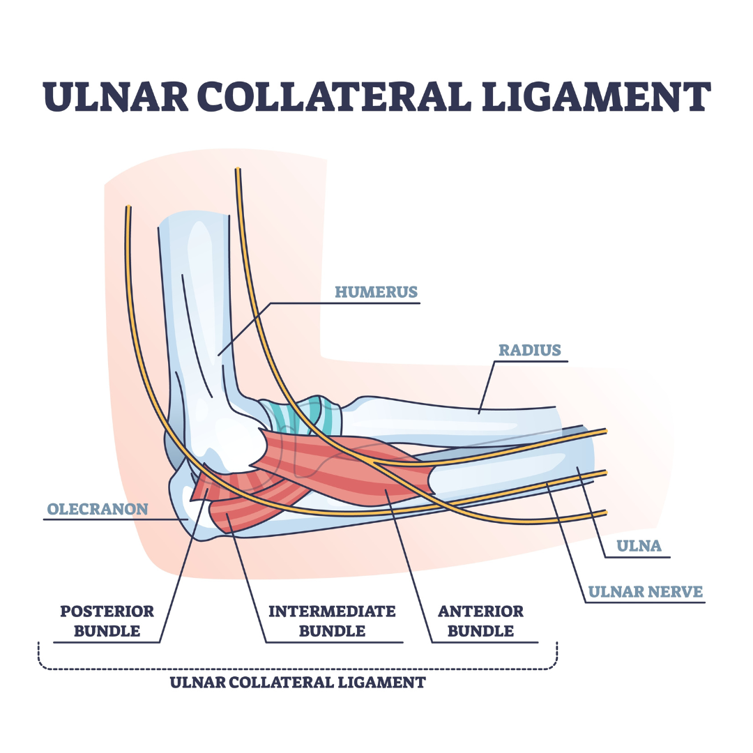 Knee Dislocation Treatment - Propel Physiotherapy