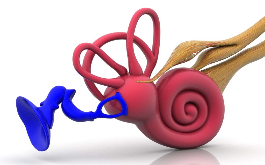 inner ear imbalance Archives Propel Physiotherapy