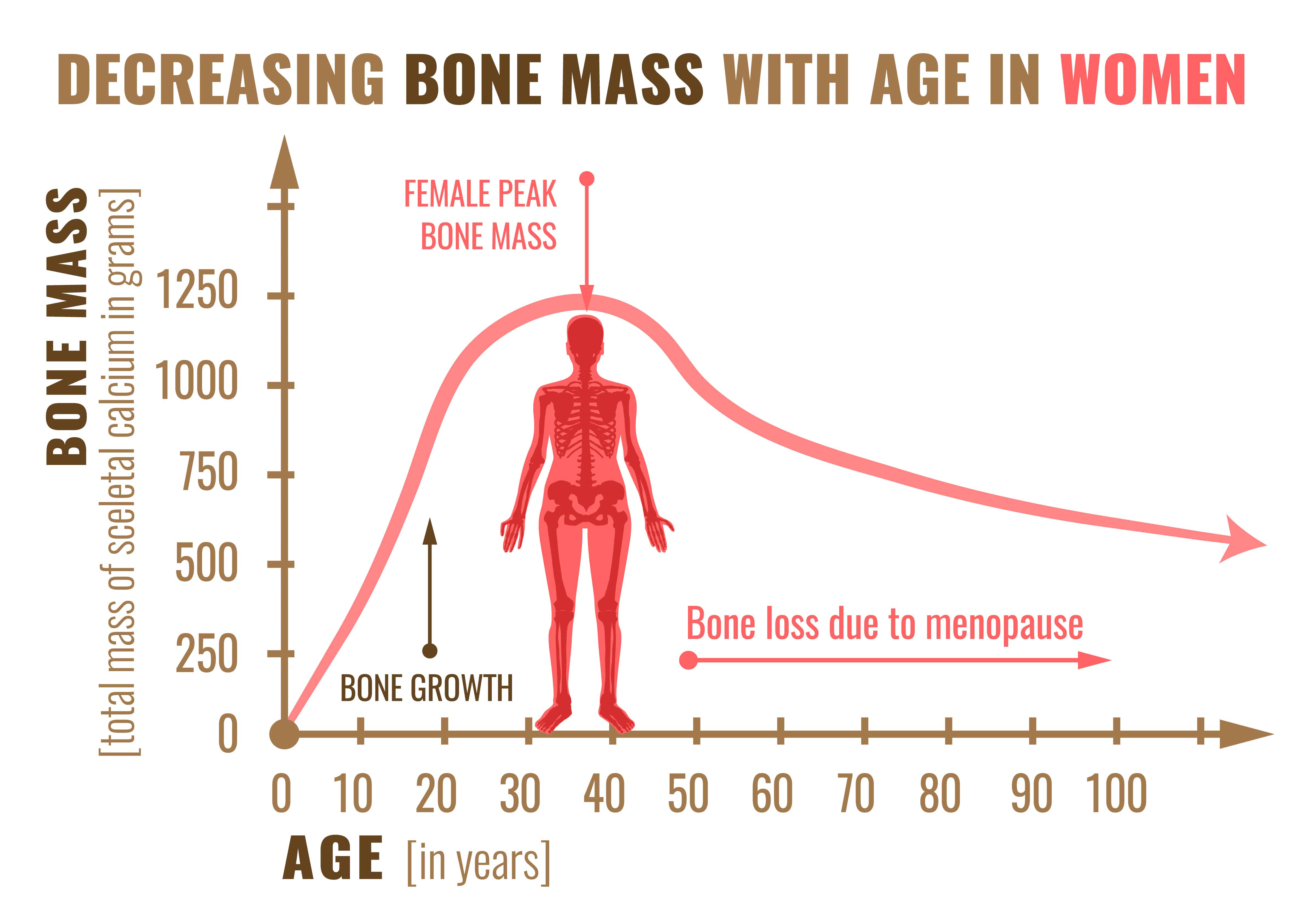 decreasing bone mass with age in women osteoporosis prevention Propel Physiotherapy Etobicoke and Pickering
