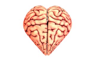 The effects of TBI on heart health Propel Physiotherapy