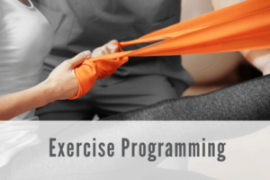 exercise programming Propel Physiotherapy 