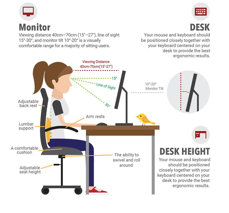 Ergonomic Desk Setup Diagram How To Create An Ergonomic Desk Setup