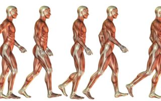 normal movement performing tasks optimally after neurological injury Propel Physiotherapy