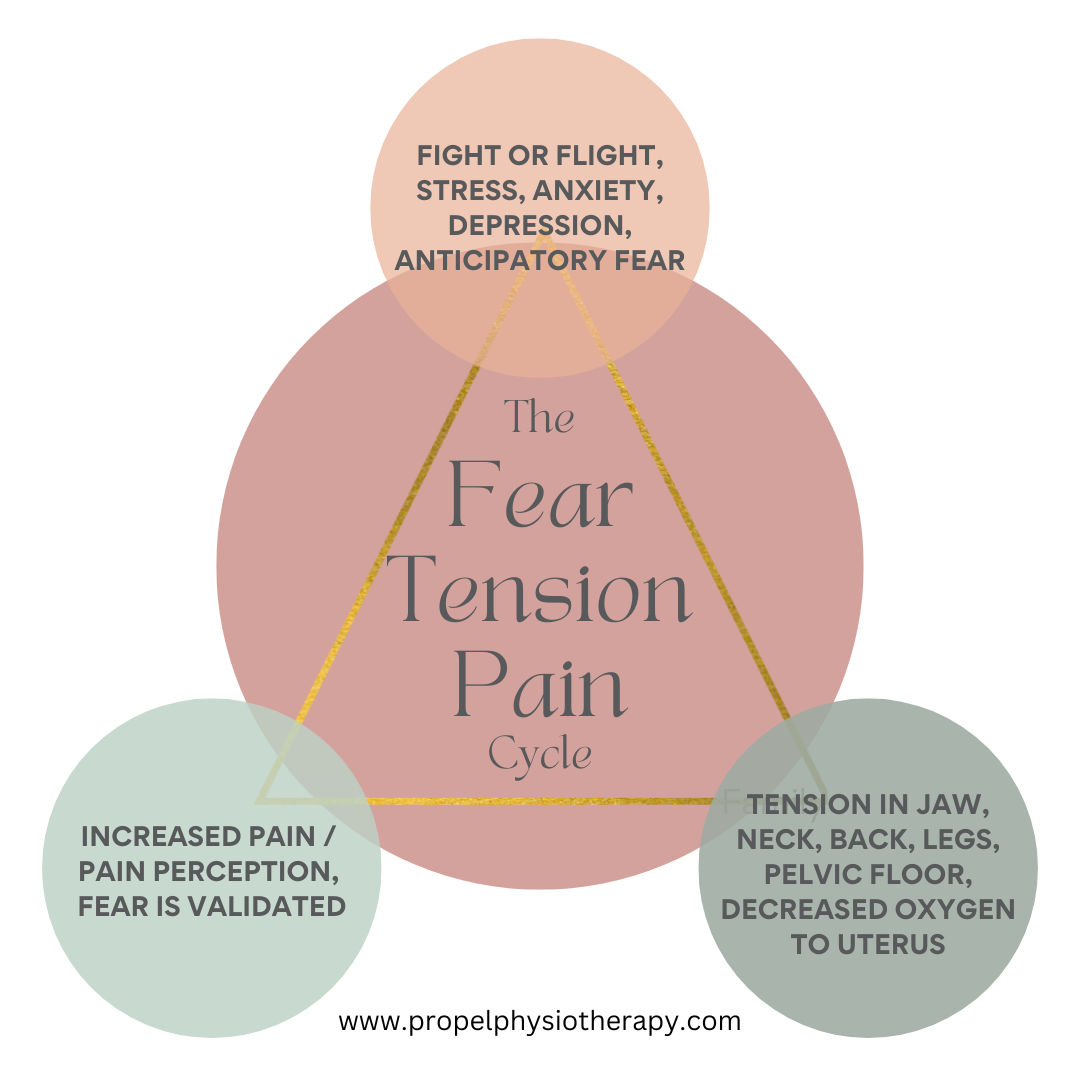 Fear Tension Pain Cycle graphic. Dyspareunia treatment painful intercourse Propel Physiotherapy