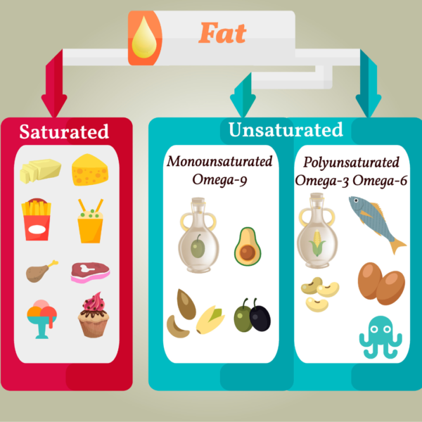Food with saturated fats and unsaturated fats. How to improve heart health with good eating habits. Propel Physiotherapy. 