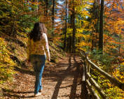 A woman walking on a trail through a forest. How the planet can heal us; nature's healing benefits.