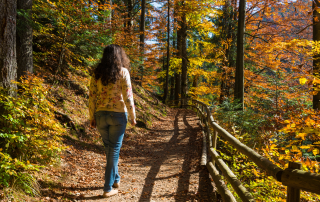 A woman walking on a trail through a forest. How the planet can heal us; nature's healing benefits.
