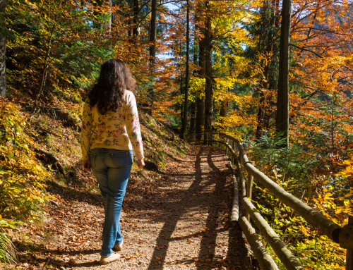 How the Planet Can Heal Us: Four Wellness Benefits of Nature