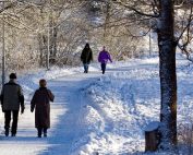 Elderly couple and middle-age couple walking on a snowy path through a park. How to protect your back and joints in winter. When to seek physiotherapy support for joint and back pain at Propel Physiotherapy.