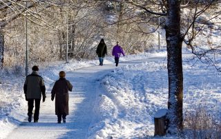 Elderly couple and middle-age couple walking on a snowy path through a park. How to protect your back and joints in winter. When to seek physiotherapy support for joint and back pain at Propel Physiotherapy.